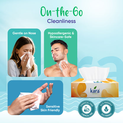 Facial Tissue 100 Pulls Box (Pack of 4)